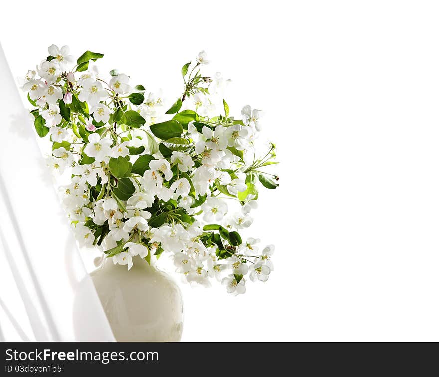 Blossoming spring branches in jug