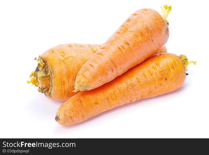 Carrot