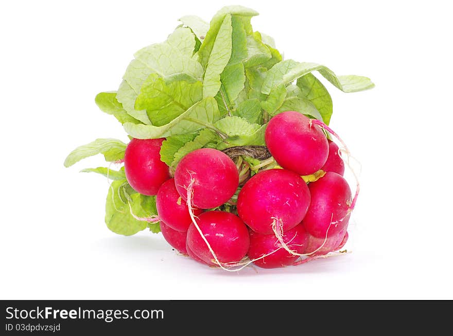 Fresh radishes on a white background