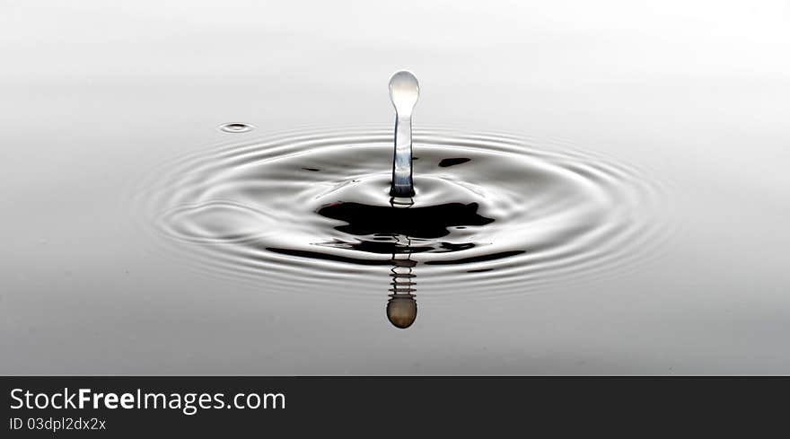 Large Drop of Water Disturbs Tranquil Setting