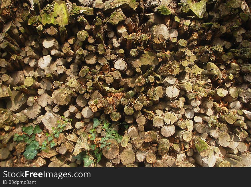 Pile of wood for fire. Pile of wood for fire