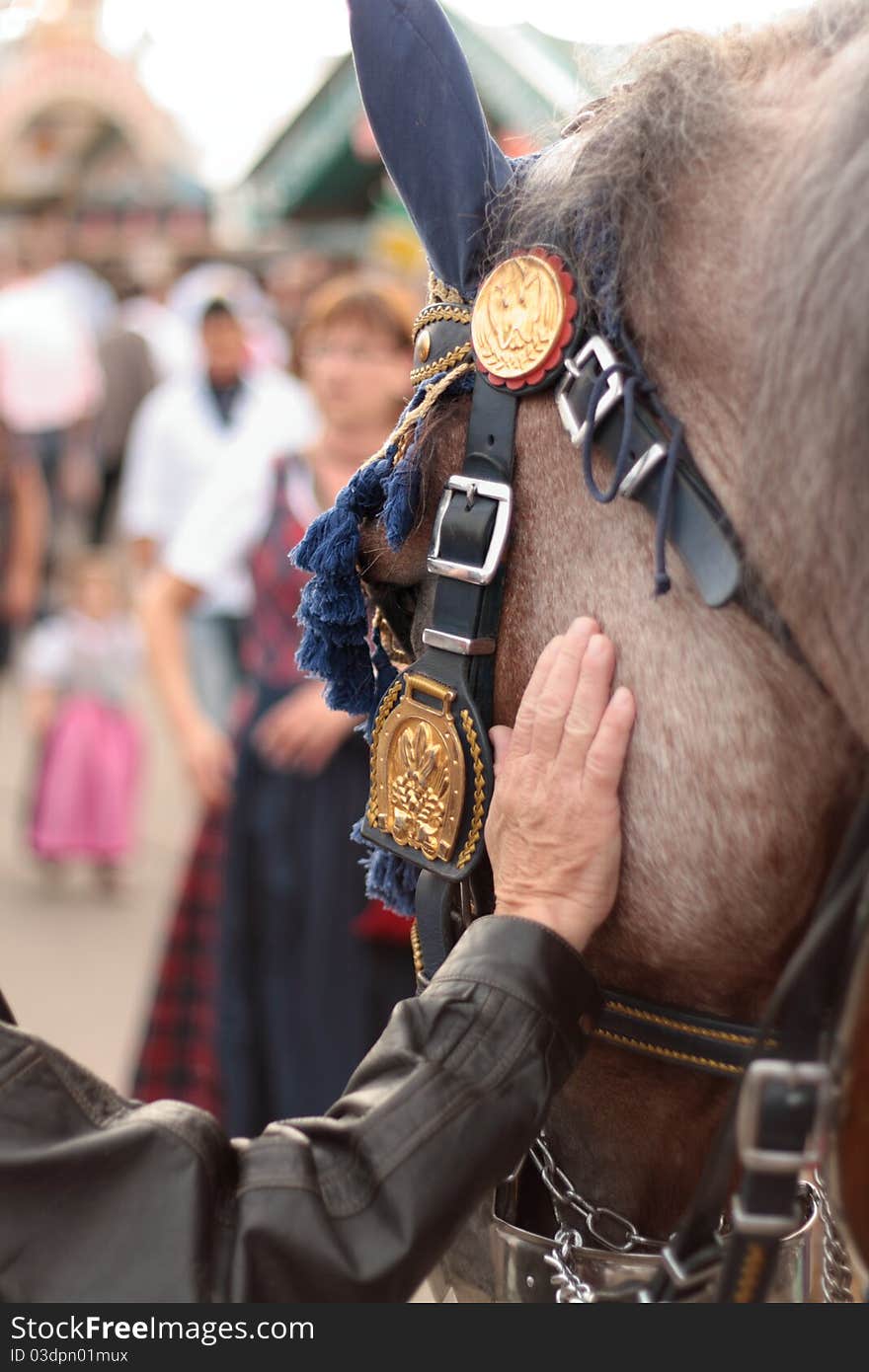 Beer barrel carriage pulling horse with handler at Oktoberfest. Beer barrel carriage pulling horse with handler at Oktoberfest