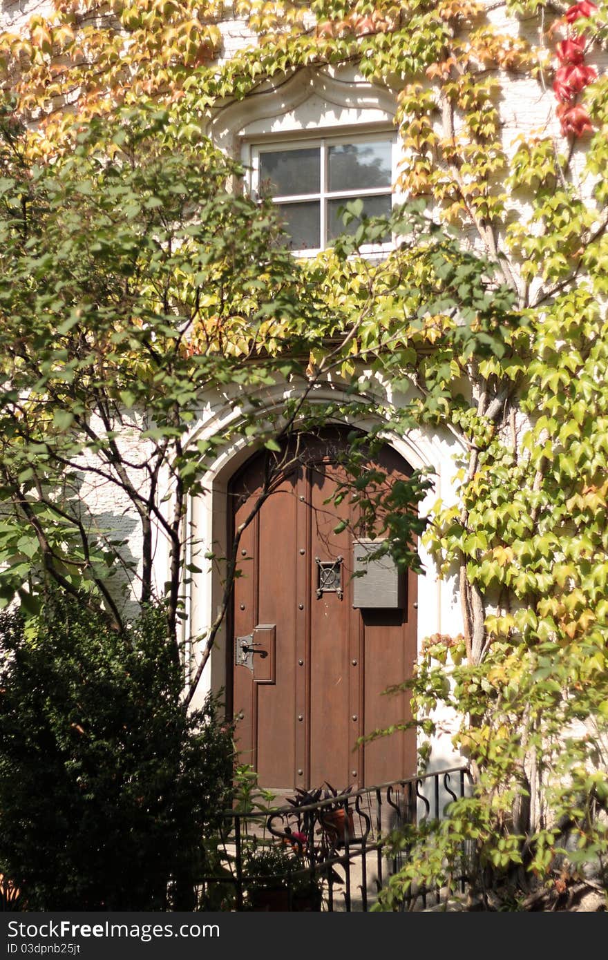 Ivy covered door of traditional building in Munich, Germany