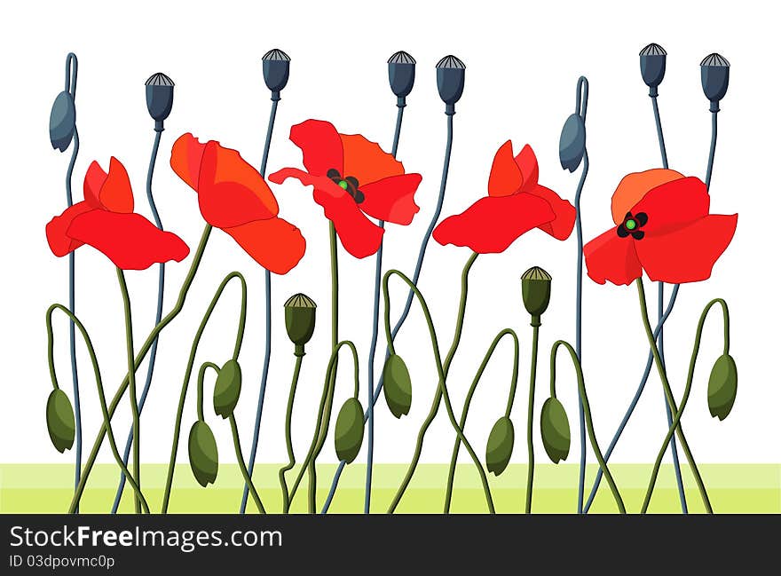 Group of stylized field poppies.