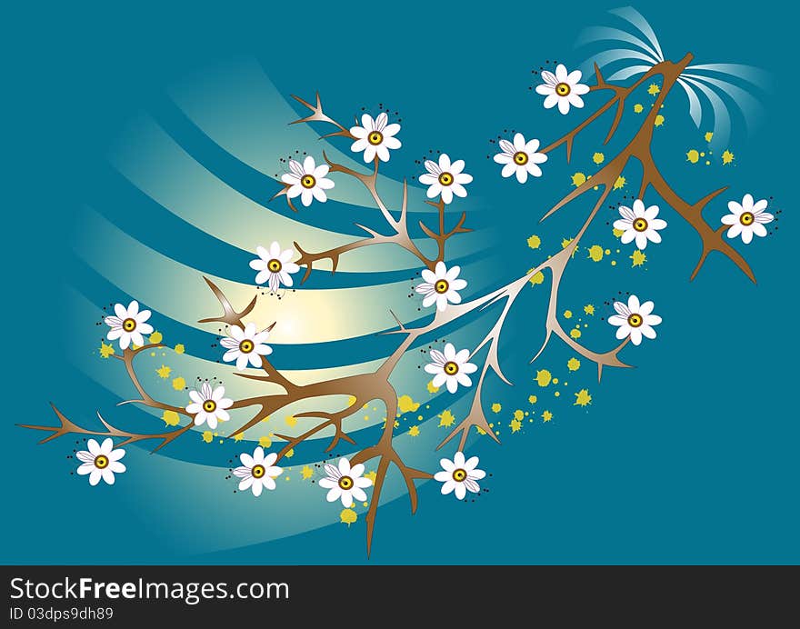 White flowers blooming branch on blue background.Background.Wallpaper. White flowers blooming branch on blue background.Background.Wallpaper.