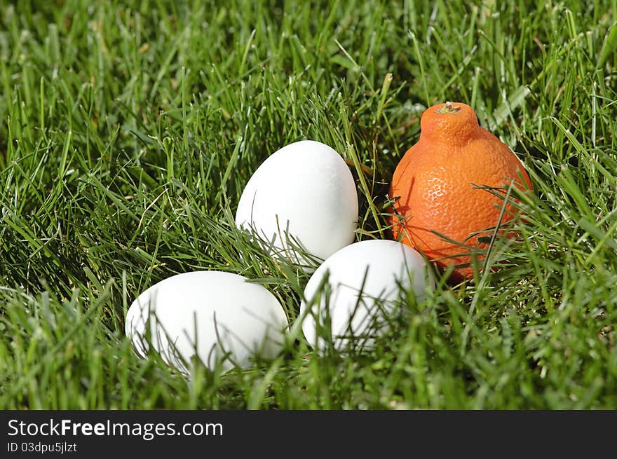 White eggs and mandarin laying in green grass