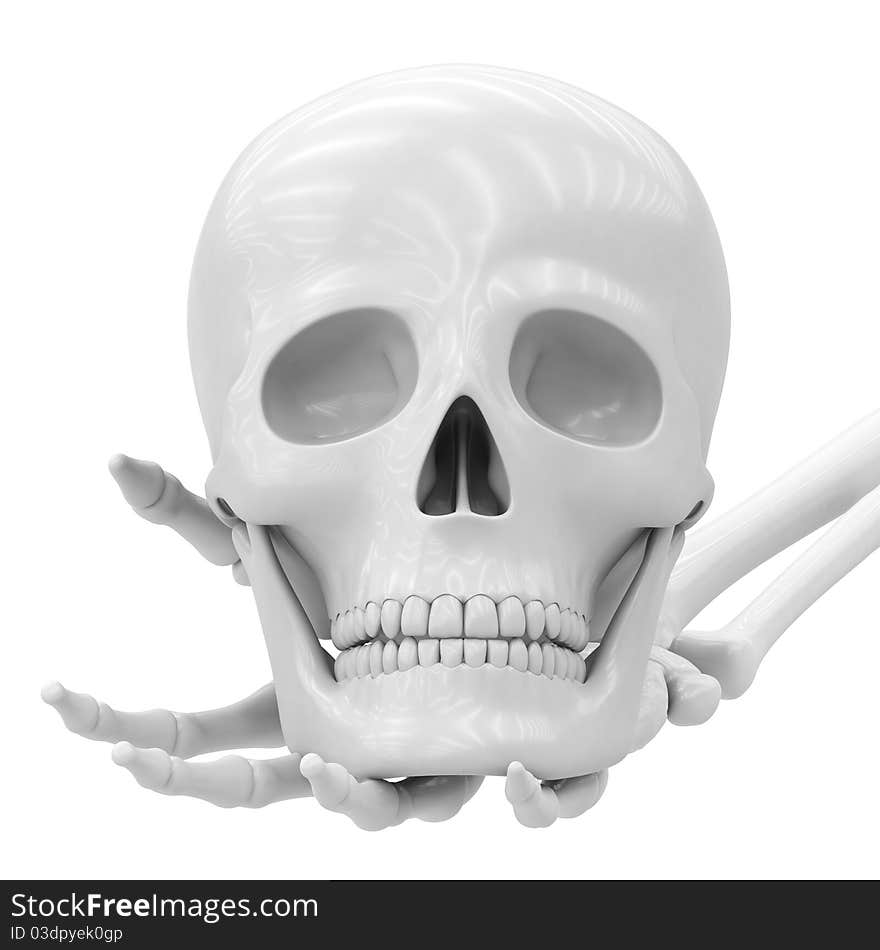 Skull on a white surface