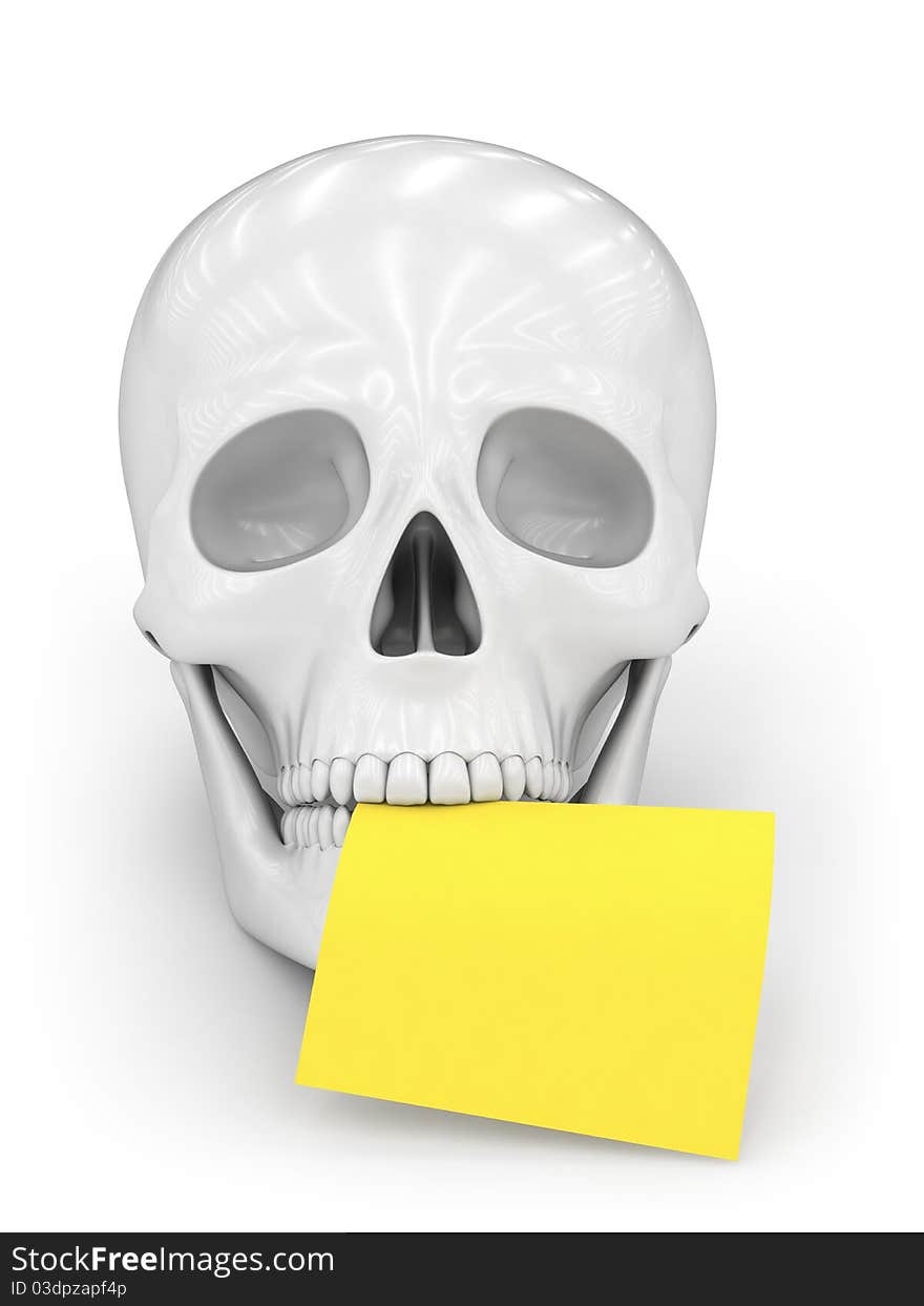 Skull on a white surface