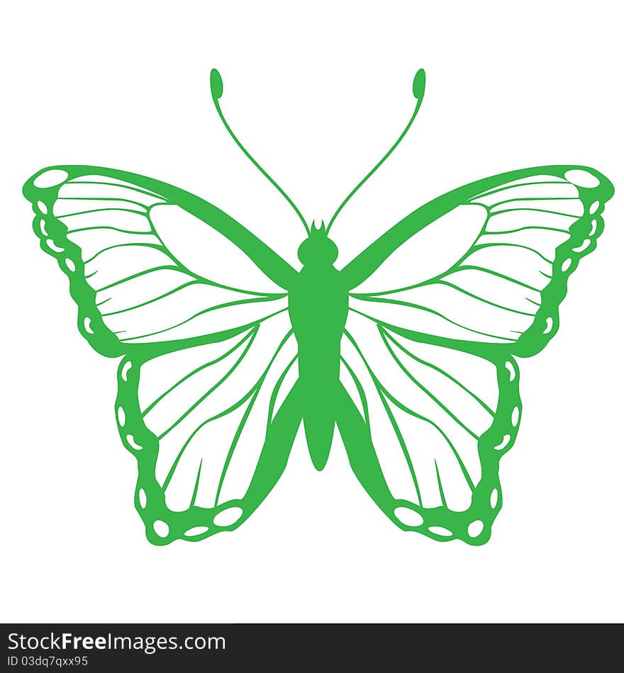 Vector Illustration of detailed butterfly silhouette.