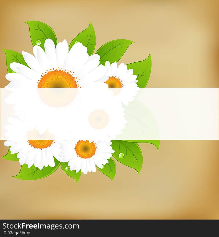 Background With Camomiles And Old Paper, Vector Illustration