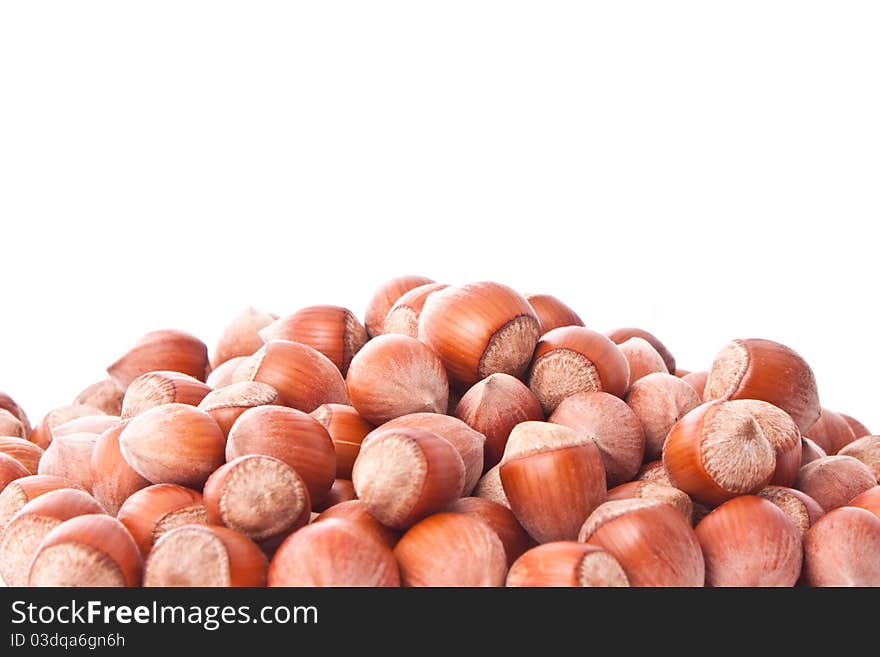 Close up shot of hazelnuts isolated on white