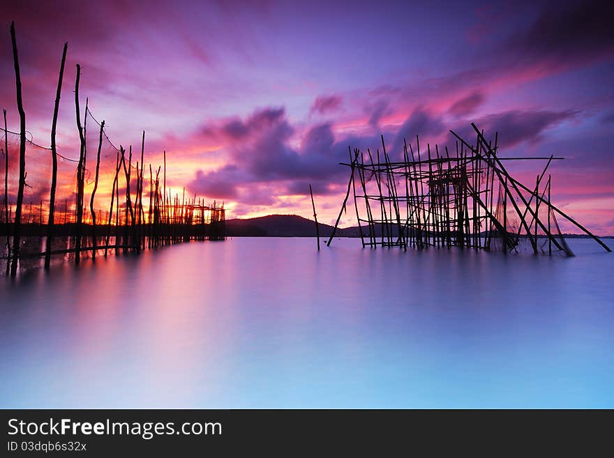 Local fish trap