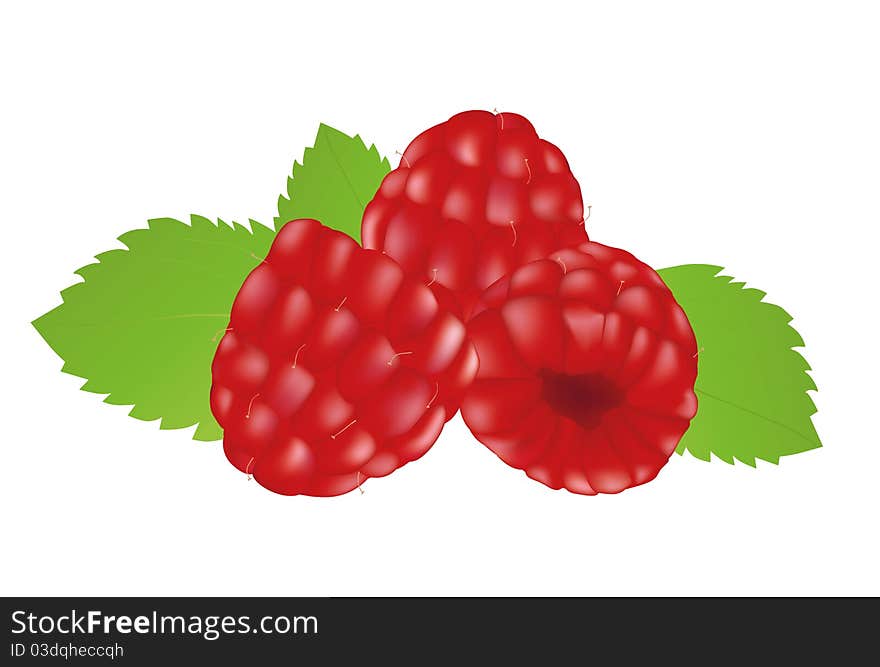 Fresh Raspberries