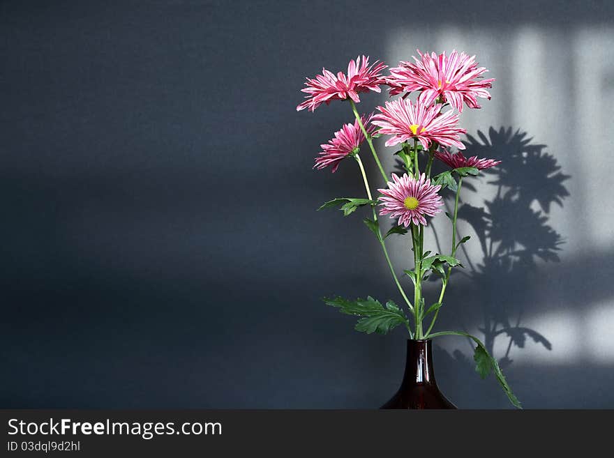 Glass vase with nice pink flowers on dark background. Glass vase with nice pink flowers on dark background