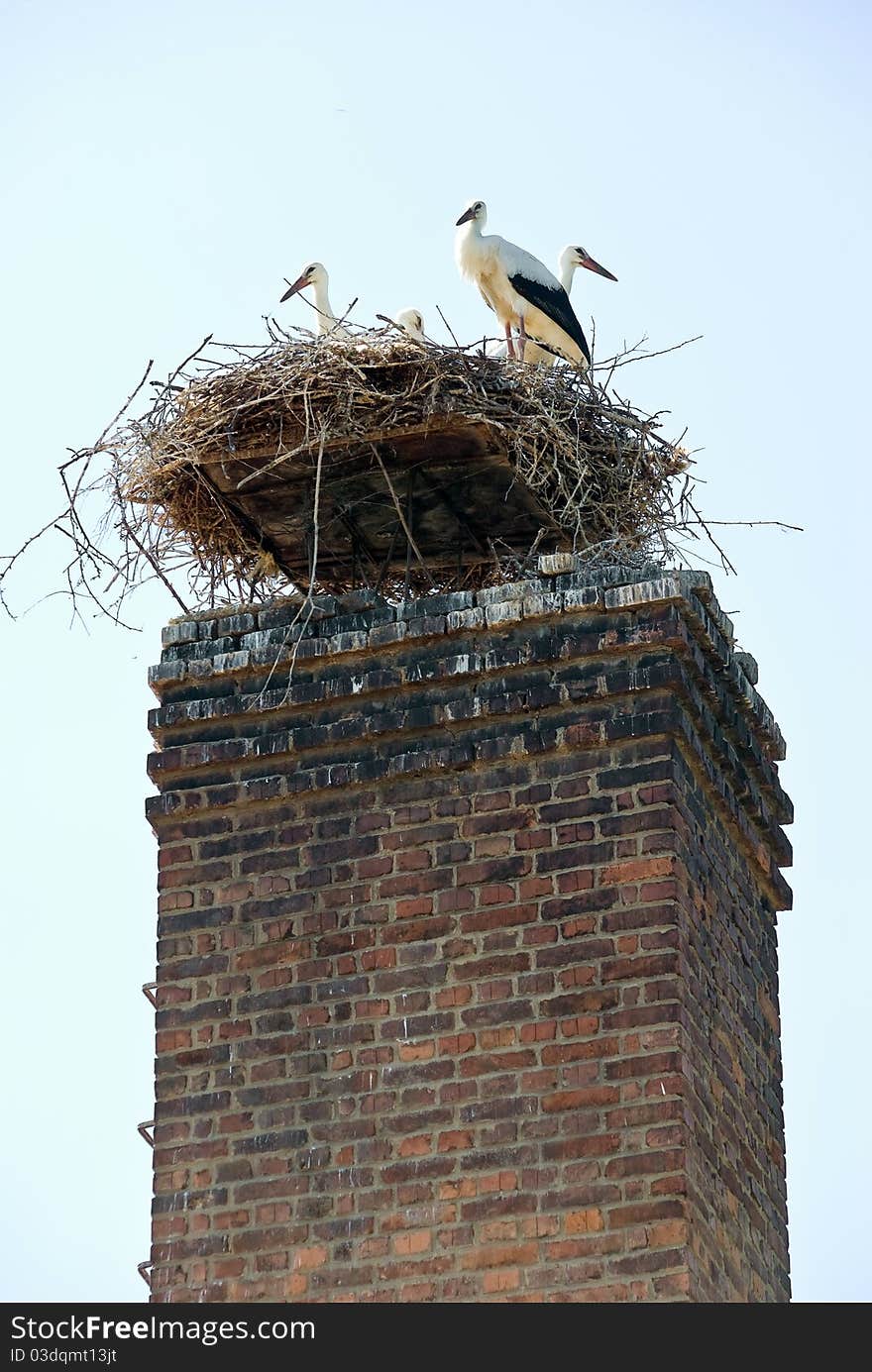 People are mounted on the stack platform on which the storks to build a nest.