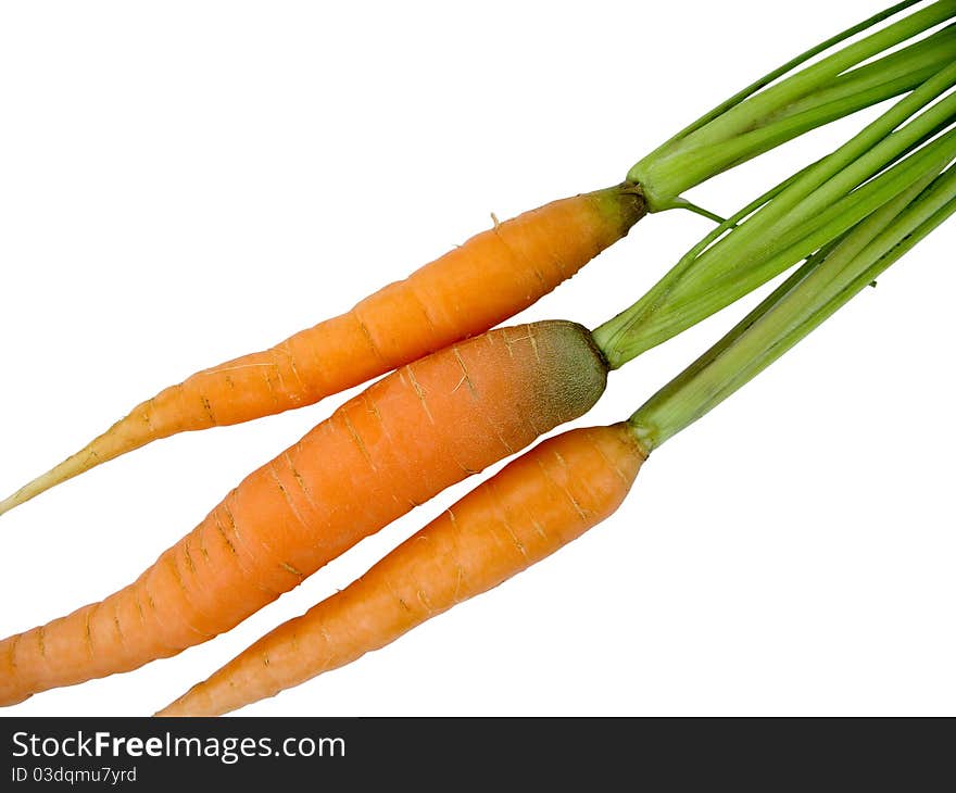 Fresh carrots