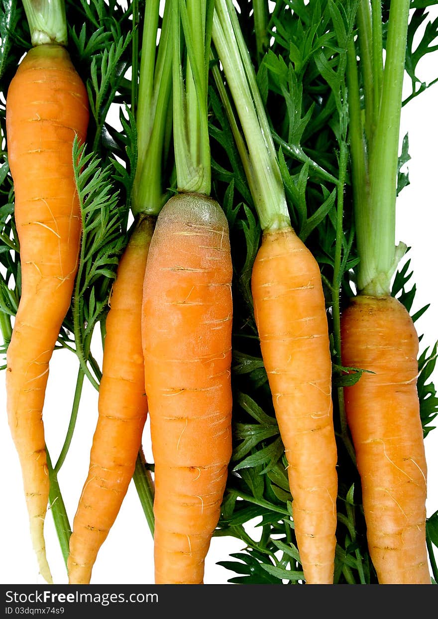 Fresh carrots