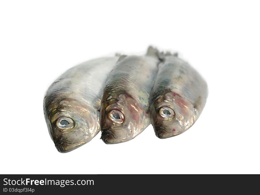 Three fresh herrings on white background