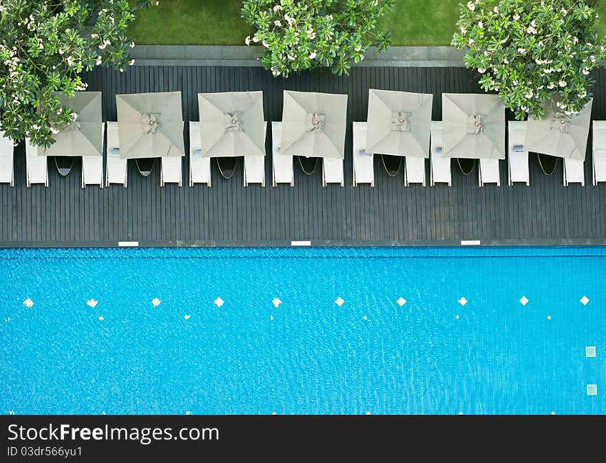 Swimming pool in the garden