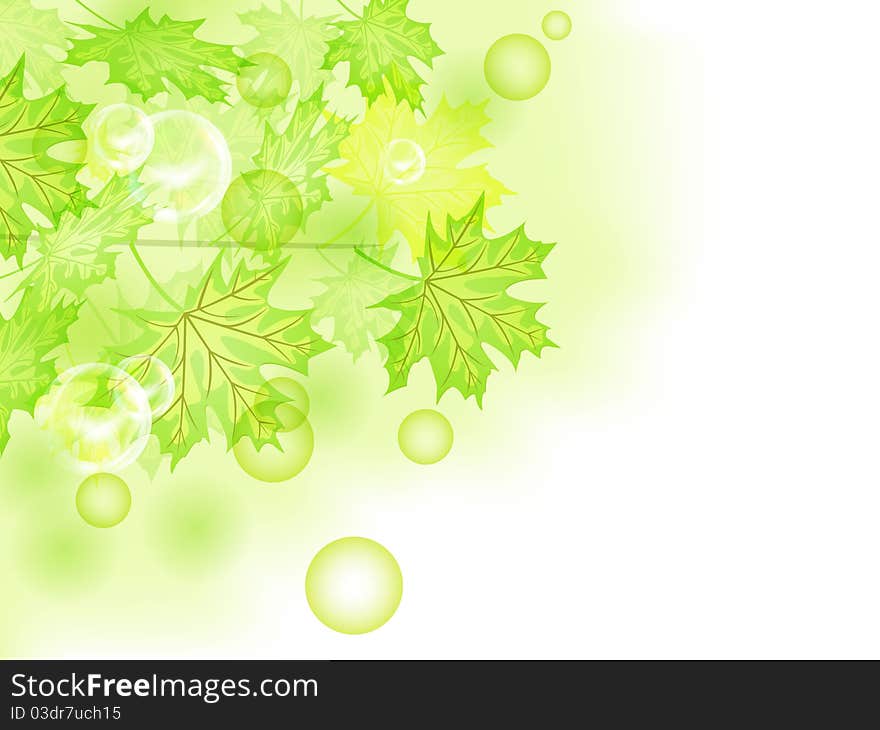 Beautiful nature. Summer green leaf. Vector.