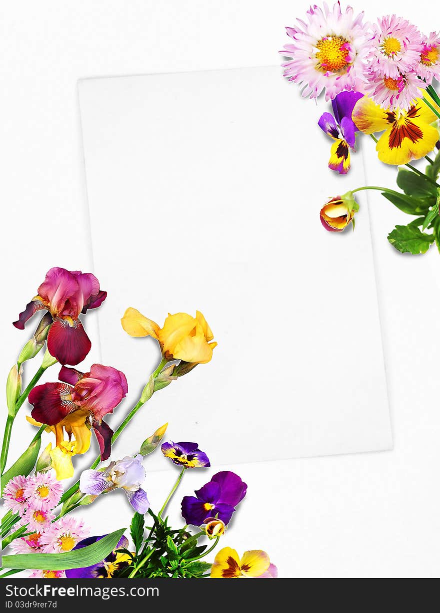 Beautiful card with colorful flowers. Beautiful card with colorful flowers