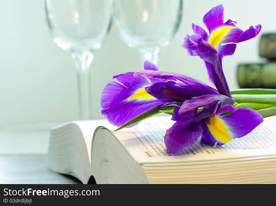 Purple iris lying in opened book with wine glasses in the background. Purple iris lying in opened book with wine glasses in the background