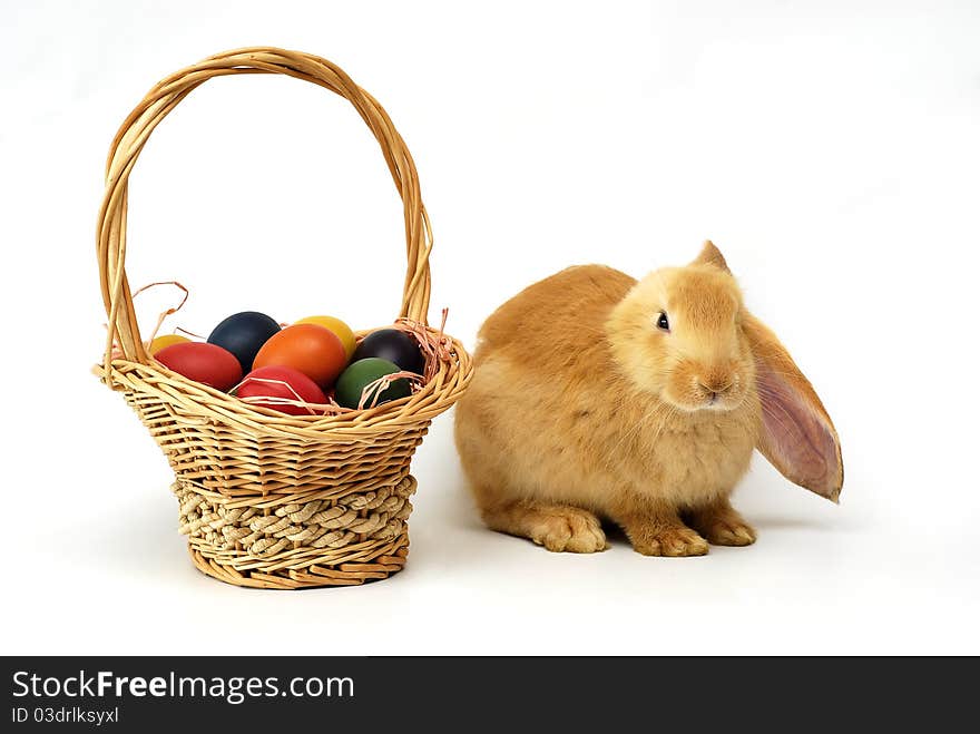 Rabbit with Easter with basket of painted eggs on the white background. Rabbit with Easter with basket of painted eggs on the white background