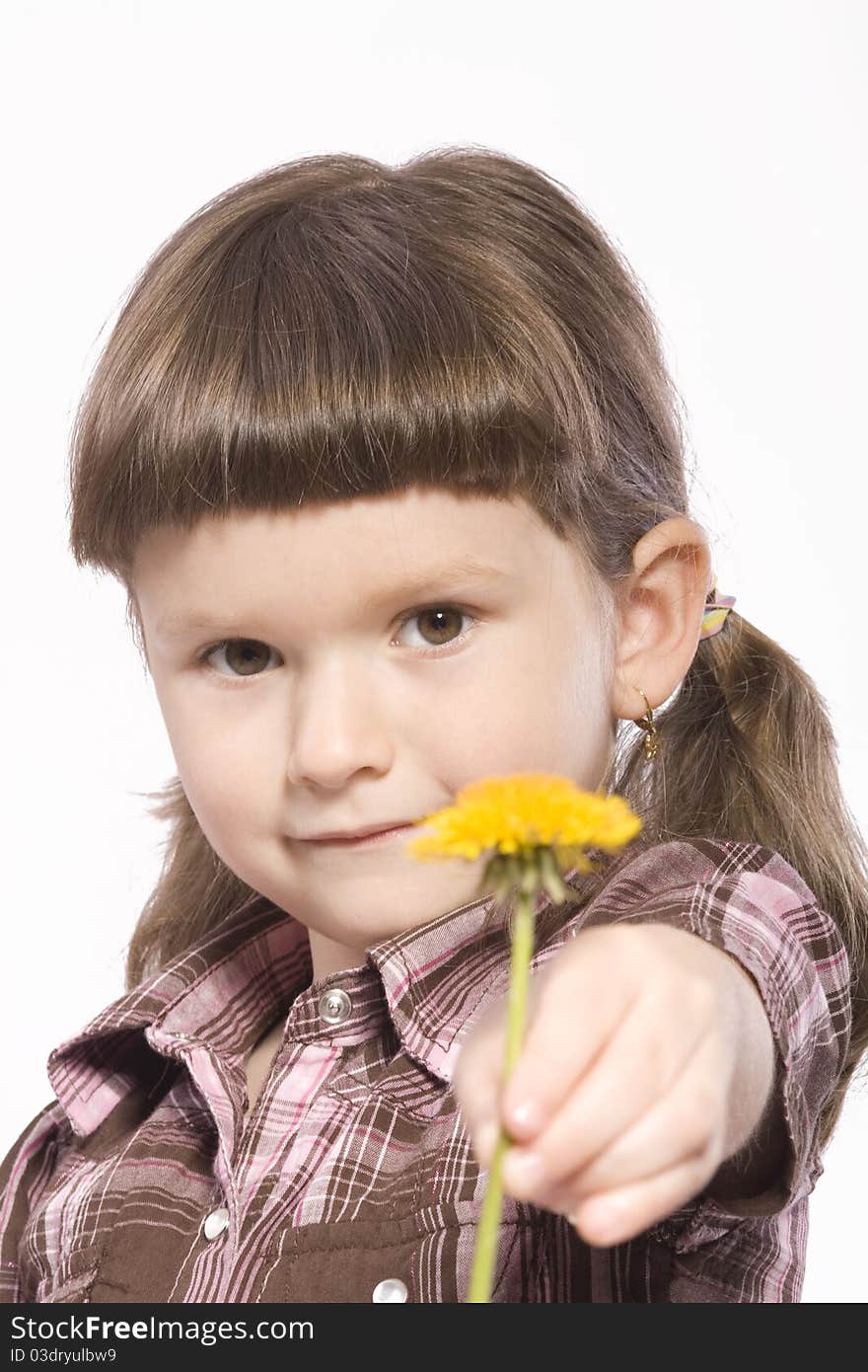 Pretty brunette girl is offering a yellow flower to the viewer. Pretty brunette girl is offering a yellow flower to the viewer.