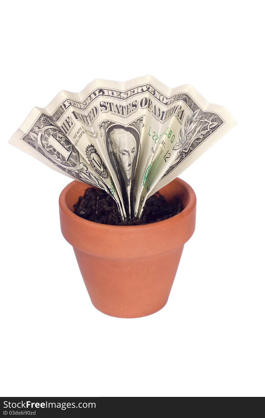 A dollar bill growing up in a small clay pot like a plant. A dollar bill growing up in a small clay pot like a plant.