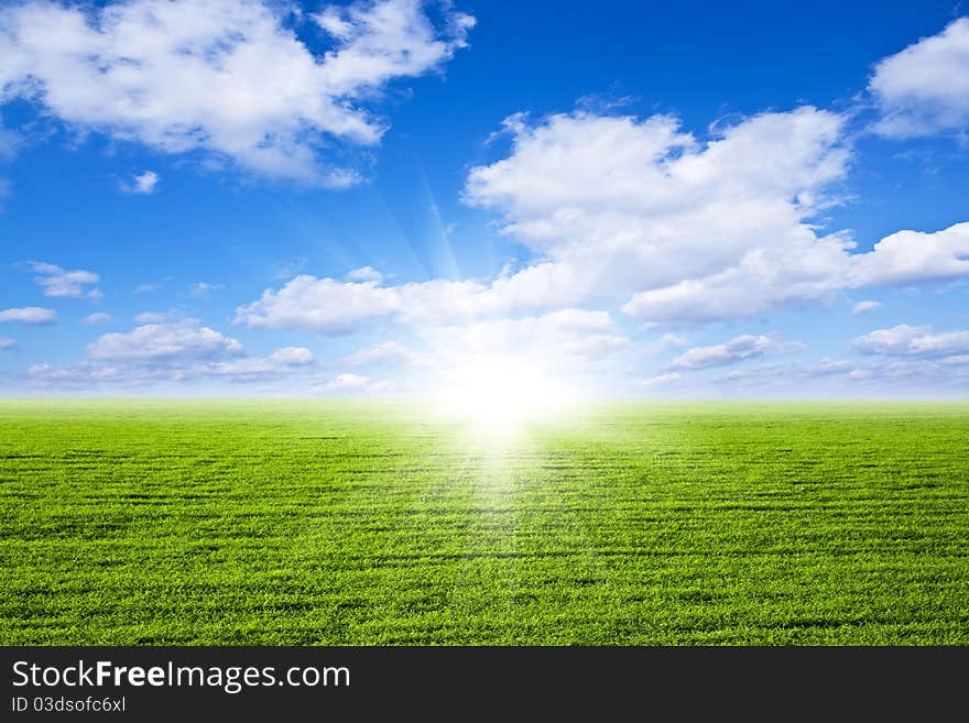 Green field in sun beams