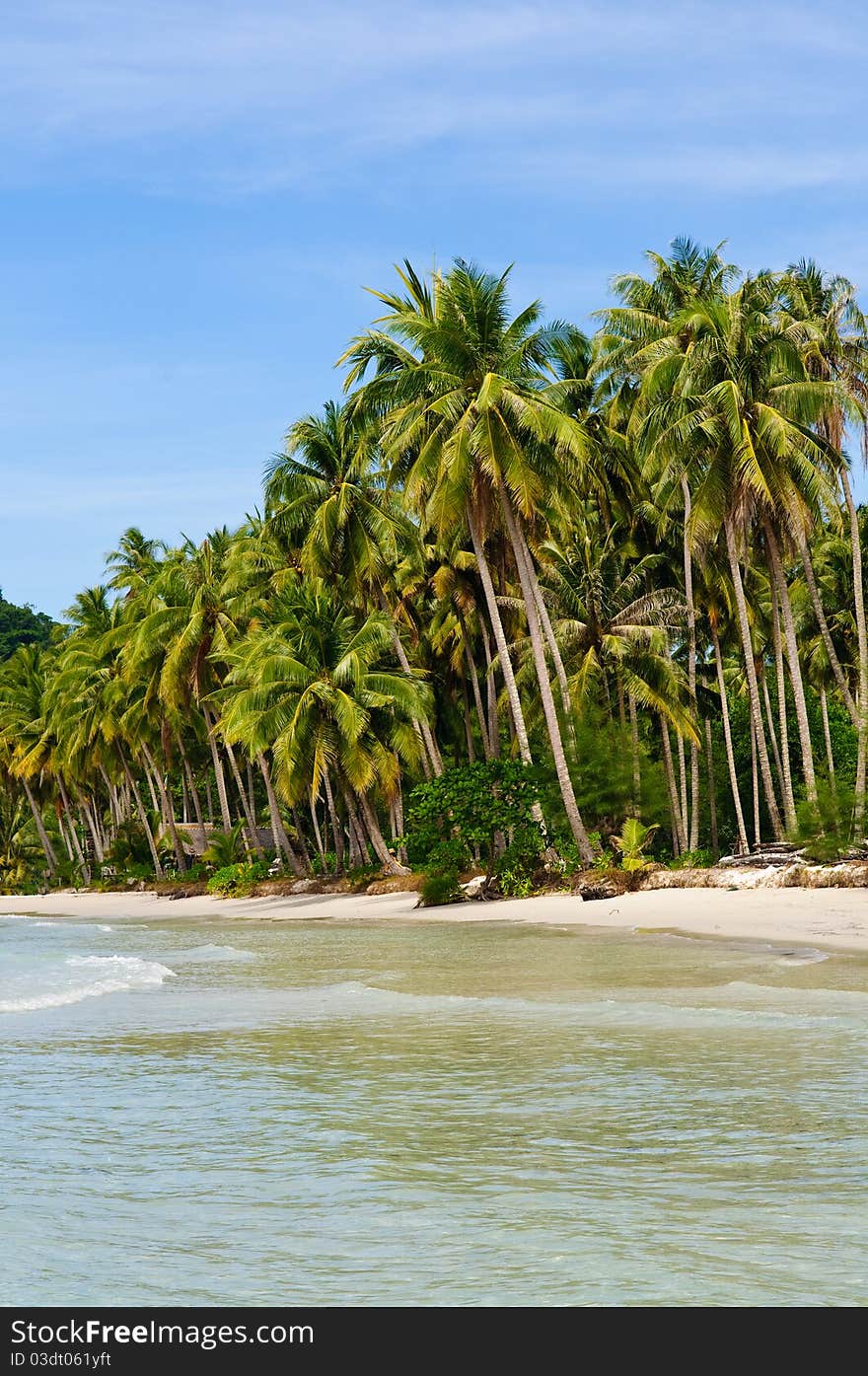 Thailand. Palm trees on loneliness beach on island Koh Kood. Thailand. Palm trees on loneliness beach on island Koh Kood