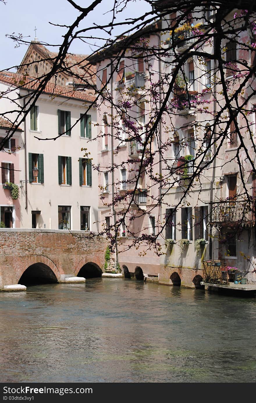 City ??of Treviso, Italy, in the spring in the Venetian