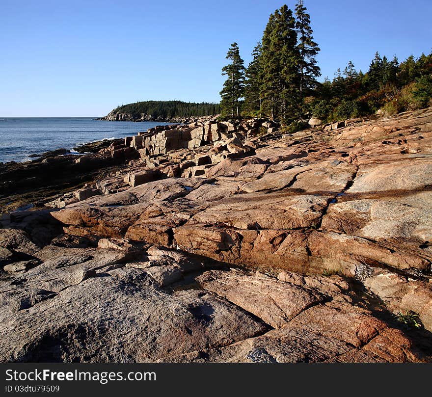 The Seacoast At Thunderhole In Acadia National Park, Maine