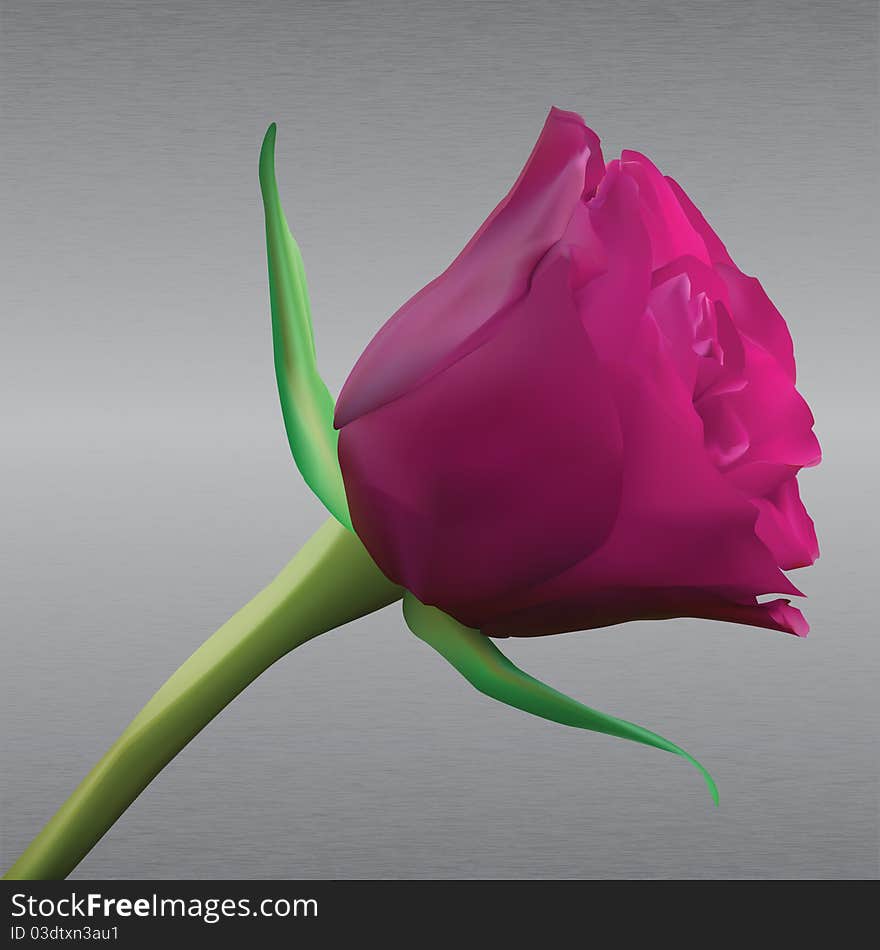 Pink rose on metal background