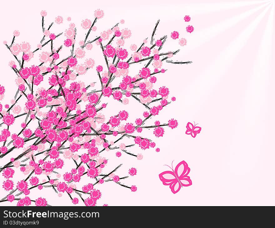 Spring flowers on pink background. Spring flowers on pink background