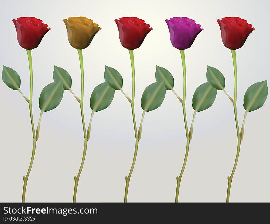 Roses in red, pink and yellow on long stems with two leafs. Roses in red, pink and yellow on long stems with two leafs