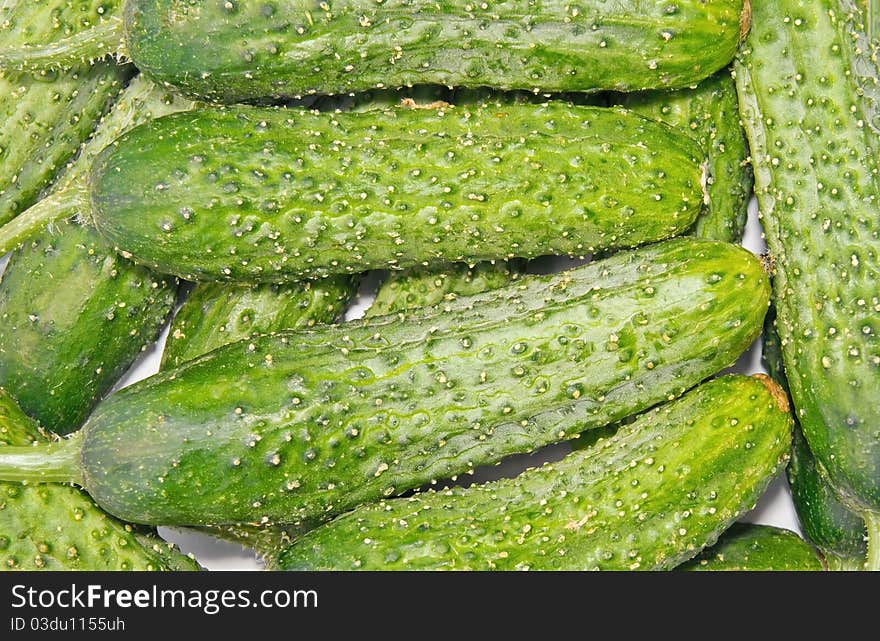 Background made from fresh green bio cucumbers.