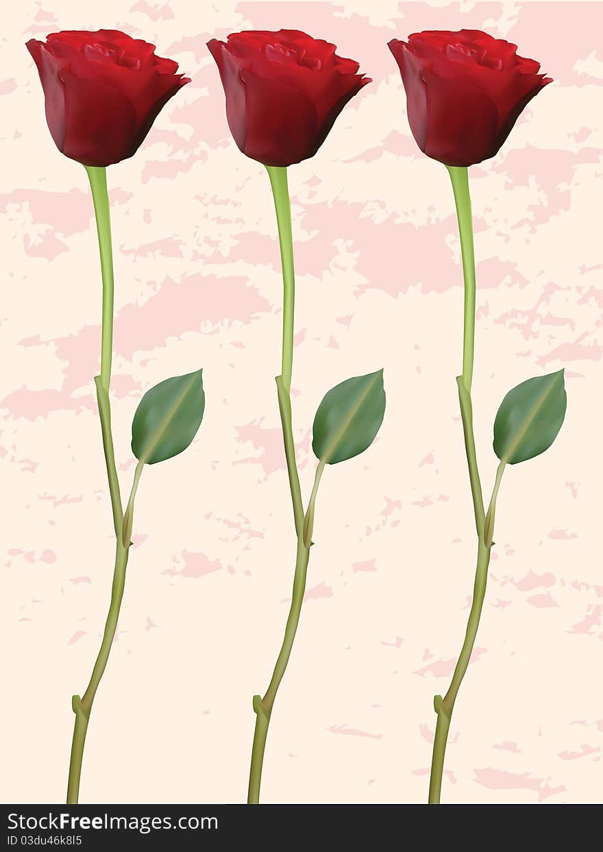 Red roses on long stems with leafs on a pink distressed background. Red roses on long stems with leafs on a pink distressed background