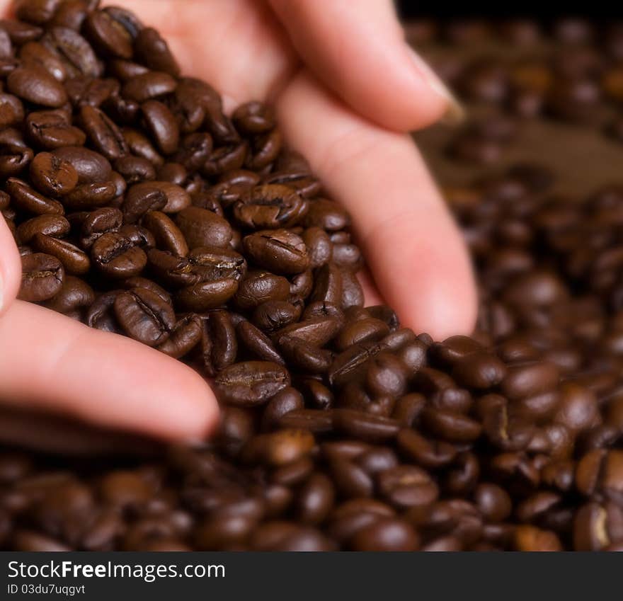 Closeup woman's hand hold freshly roasted coffee beans. Closeup woman's hand hold freshly roasted coffee beans