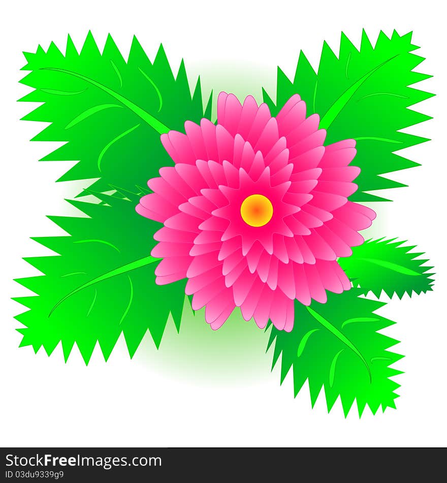 Attractive illustration of red flower with green leaves on white background