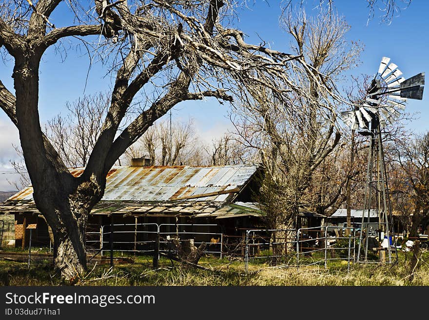 A decaying and deteriorating farm house with broken down windmill and large, bare tree. A decaying and deteriorating farm house with broken down windmill and large, bare tree.