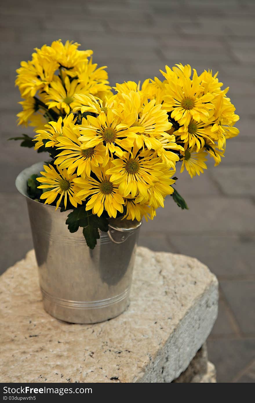 A cheerful bouquet of bright yellow flowers in a shiny metal bucket. A cheerful bouquet of bright yellow flowers in a shiny metal bucket.