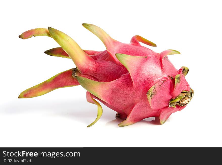 Tropical dragon fruit on isolated