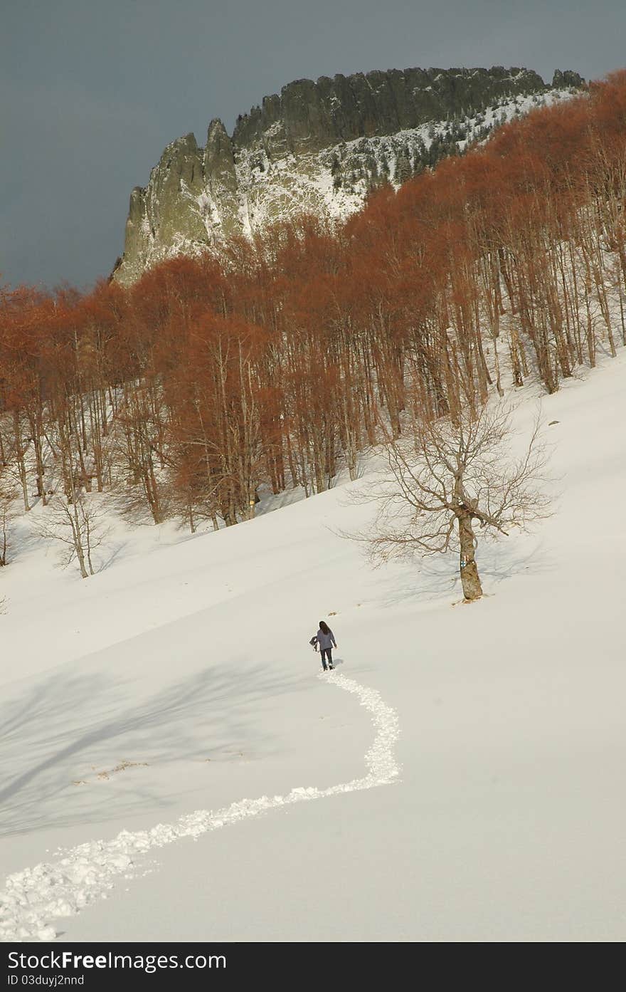 Winter mountains