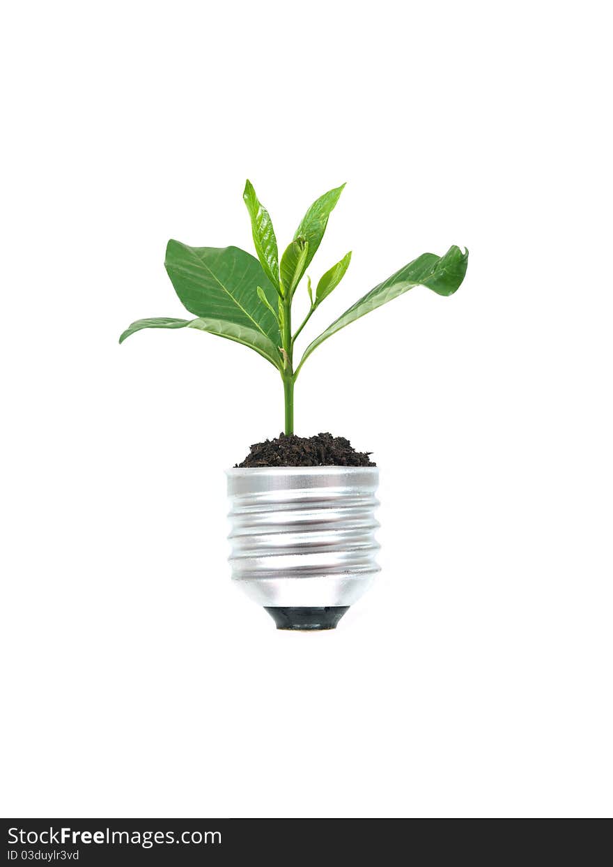 A light bulb isolated against a white background