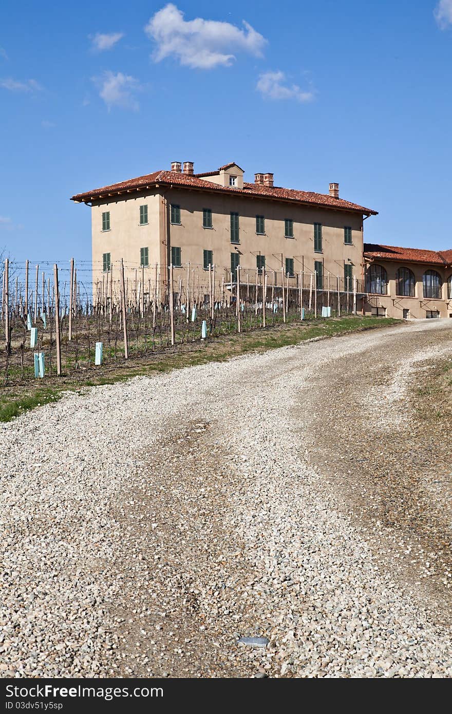 Italian villa with vineyard: spring season