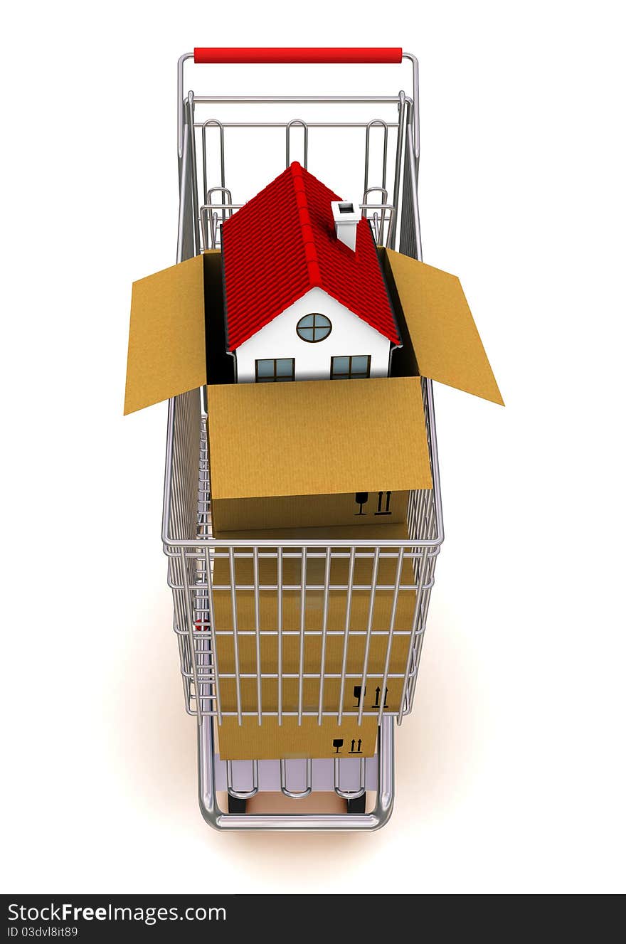 House in an open cardboard box, standing on trolley