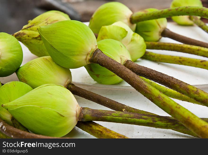 Green lotus buds for pray