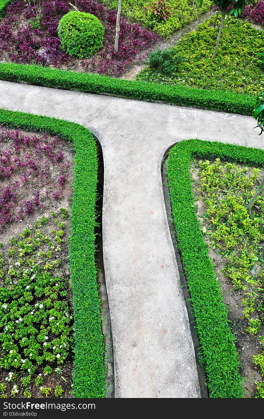 Stone way and green grass in garden