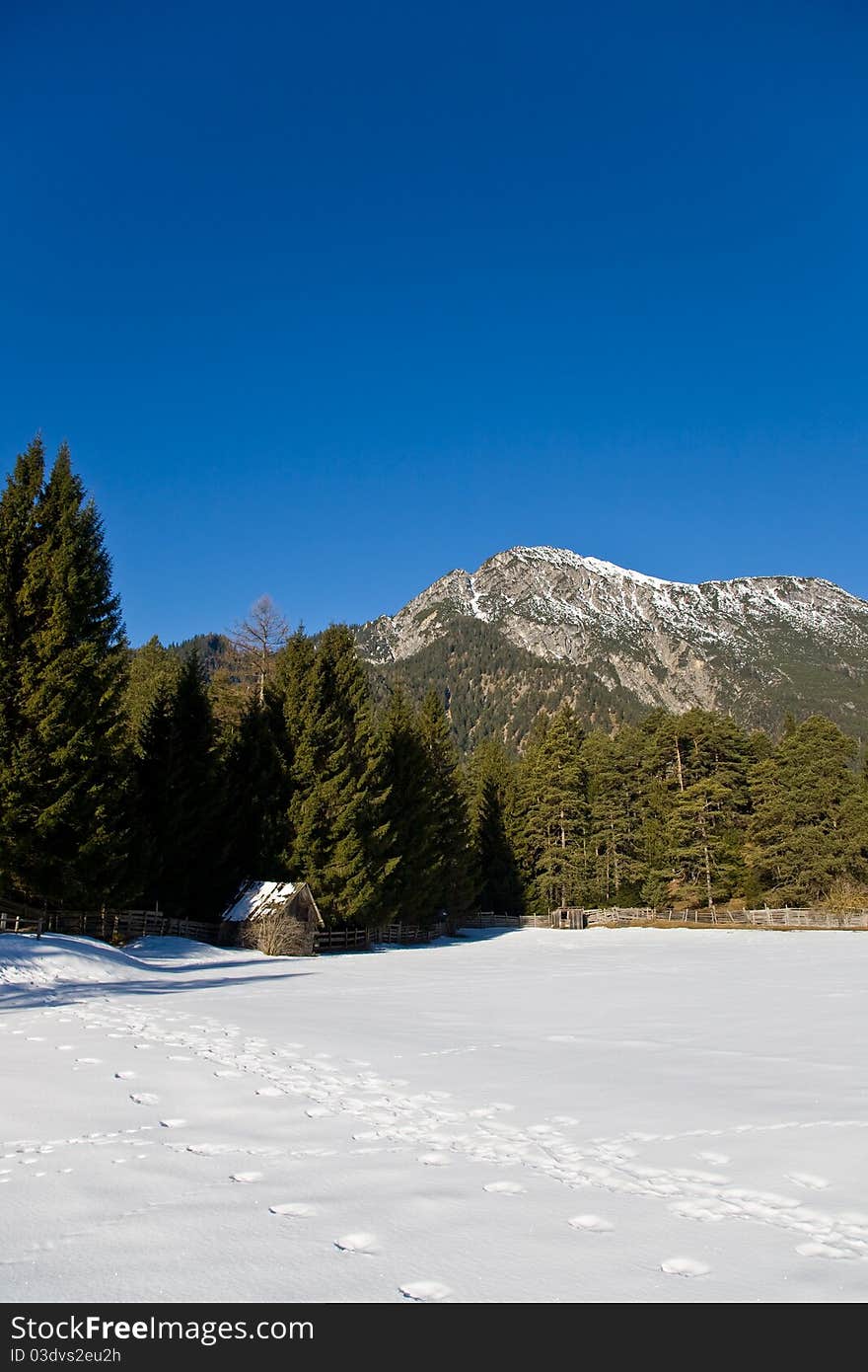 Winter mountain view in Alps